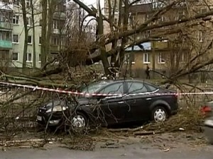 Последствия урагана в Калининграде, прошедшего в начале 2011 года. Фото: 1tv.ru
