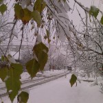 Улица Ростовская в снегу. © TopWorldNews.ru