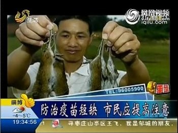 Заражённые лихорадкой грызуны в Китае. Фото: epochtimes.ru