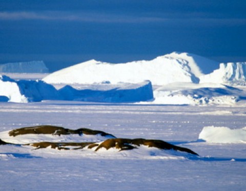 Пейзаж Антарктиды. Фото РИА Новости