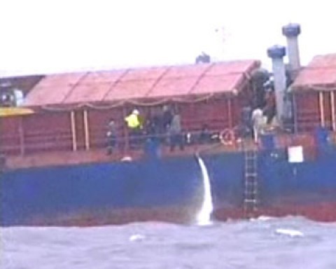 Столкновение произошло из-за сильного волнения в зоне судоходного канала. Фото worldbulletin.net