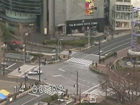 В Японии произошло землетрясение магнитудой 4,8