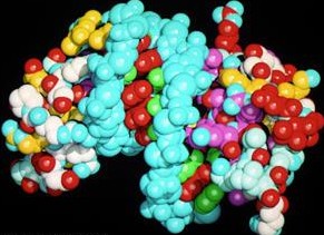Структура молекулы белка. Иллюстрация: dw.de