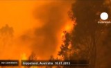 Горит австралийский буш в штате Виктория. Кадр Euronews