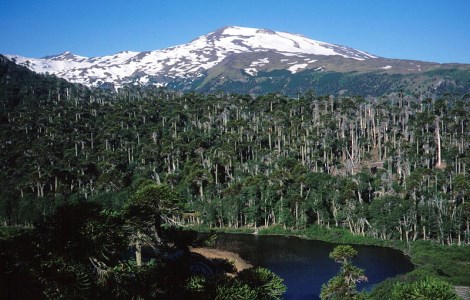 Вулкан Копауэ в Чили. Фото: Mono Andes / Flickr