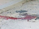 Кровь на асфальте. Фото: vesti.ru