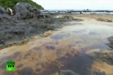 Разлив нефти на тайском курорте. Кадр RT