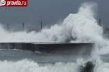 Тайфун "Трами" обрушился на Тайвань. Кадр Правда.ру