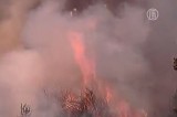 Лесной пожар в Чили. Кадр NTDTV