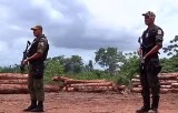 Нелегальный лесоповал в Бразилии. Кадр NTDTV