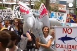 Митинг против убийства акул в Мельбурне. Кадр Euronews