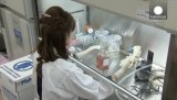 Лаборатория по выращиванию стволовых клеток в Японии. Кадр Euronews