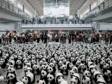 1600 панд выгрузилось в аэропорту Гонконга  (новости)