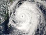 Тайфун «Неогури» грозит принести в Японию наводнения (новости)