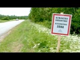 Латвия введёт режим ЧП из-за чумы свиней (новости)