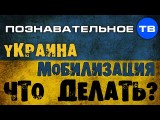 Украина. Мобилизация. Что делать? (Познавательное ТВ, Николай Стариков)