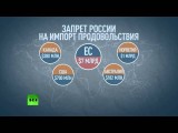 Путин и президент Финляндии обсудили проблему обоюдных санкций