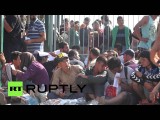 15 000 беженцев ждут переправы с острова Лесбос